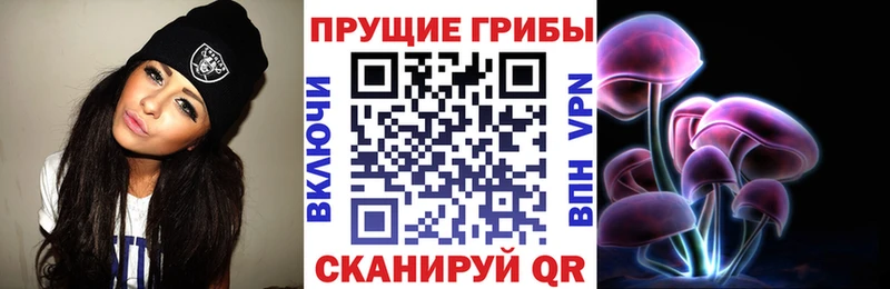 Купить где  Мурманск  Галлюциногенные грибы прущие грибы 